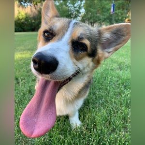 Meet your Posher, Mary belle